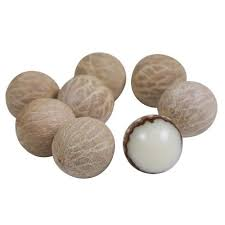 Bodhi Seed