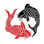 Koi fish