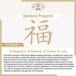 999 Sterling Silver Tibet Handmade Om Mani Padme Hum Fu Character TopRank Character Luck Braided Bracelet - Image 18