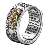 Lucky FengShui PiXiu Wealth Ring