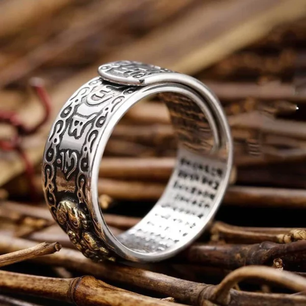Feng Shui Pixiu Wealth Attracting Ring view 5, spiritual jewelry product photography on plain background