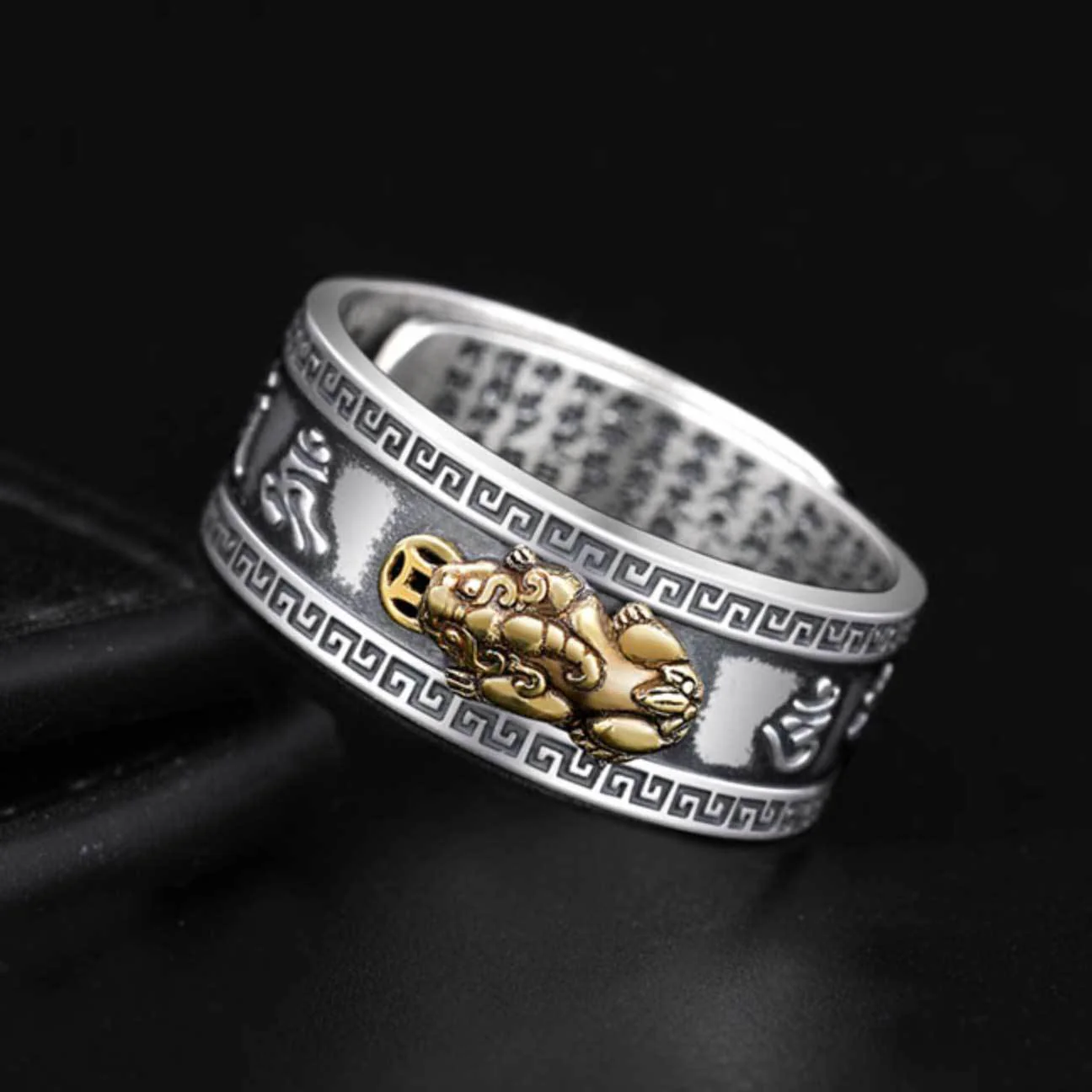 Feng shui pixiu wealth ring with a bronze coin
