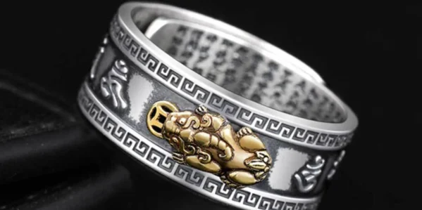 Feng shui pixiu wealth ring with a bronze coin